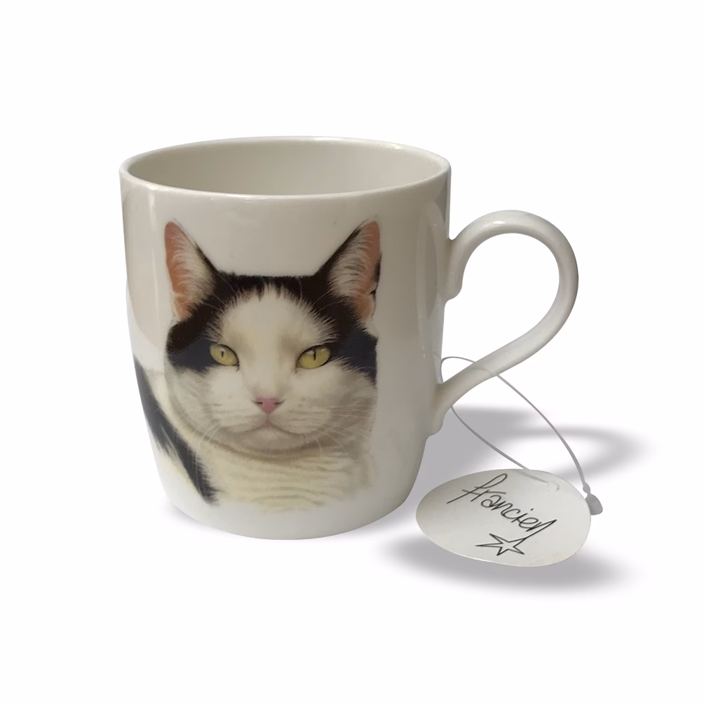 Wat zijn de prijzen van katten?