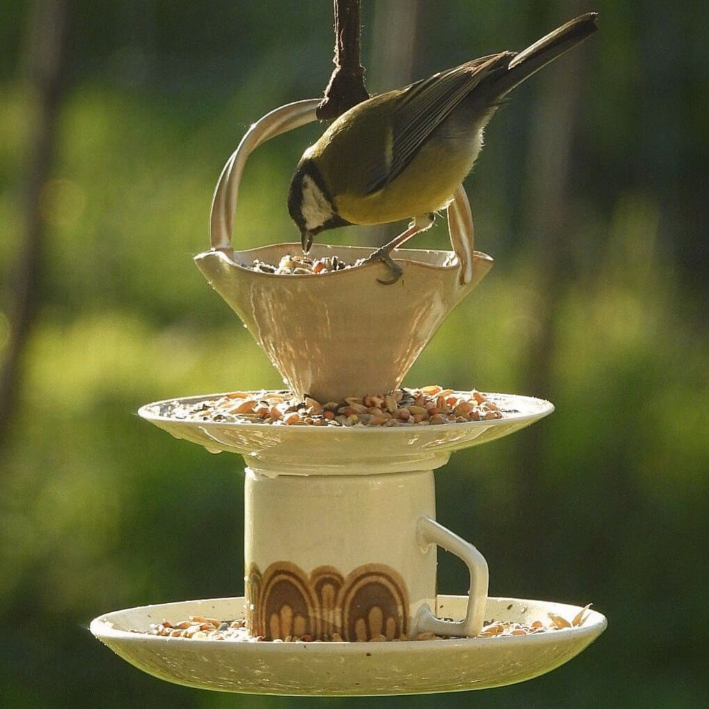 Wat te maken met oud servies?