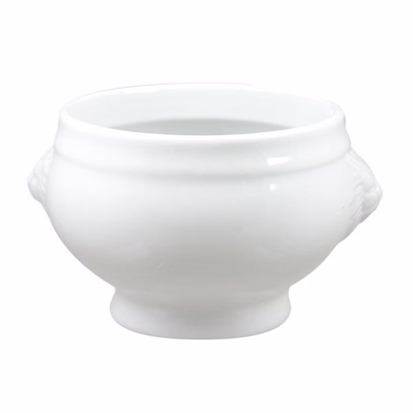 Waarom is de leeuw de koning van de dieren?