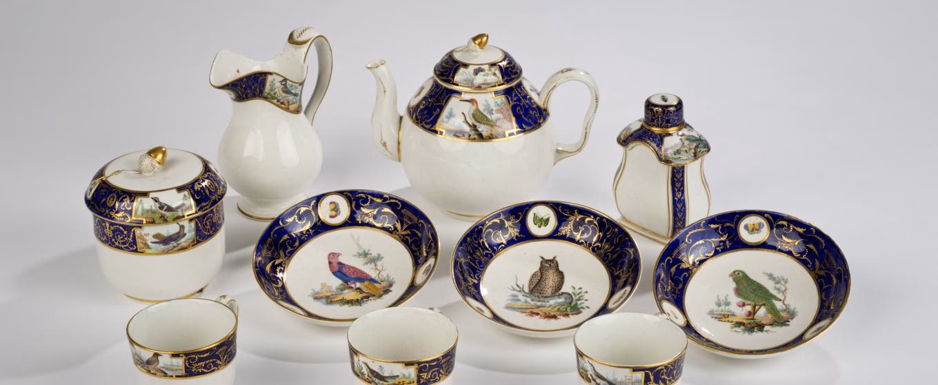 Hoe kan je de vogels helpen?